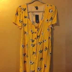 Wildfable jumpsuit. New with tags size XL